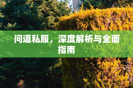 问道私服，深度解析与全面指南