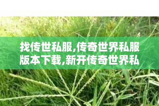 找传世私服,传奇世界私服版本下载,新开传奇世界私服传世,传奇世界私服版本下载
