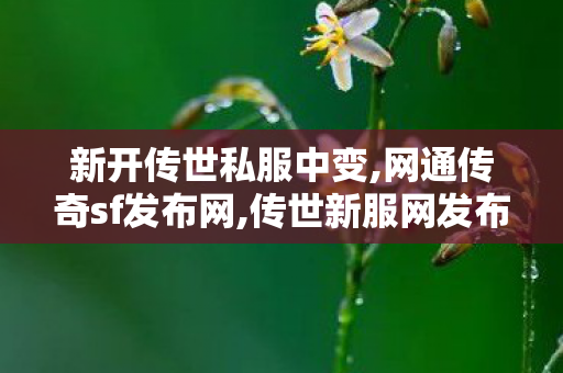 新开传世私服中变,网通传奇sf发布网,传世新服网发布网,网通传奇sf发布网