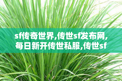 sf传奇世界,传世sf发布网,每日新开传世私服,传世sf发布网