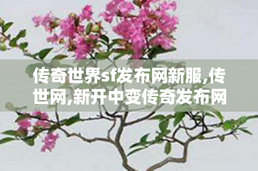传奇世界sf发布网新服,传世网,新开中变传奇发布网,传世网