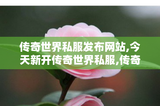 传奇世界私服发布网站,今天新开传奇世界私服,传奇世界私服,传世最新私服,今天新开传奇世界私服