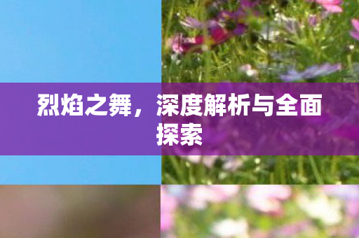 烈焰之舞，深度解析与全面探索