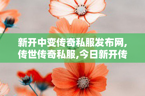 新开中变传奇私服发布网,传世传奇私服,今日新开传世私服网站,传世传奇私服