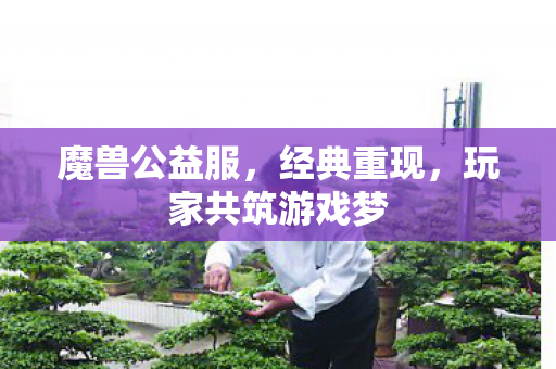 魔兽公益服，经典重现，玩家共筑游戏梦