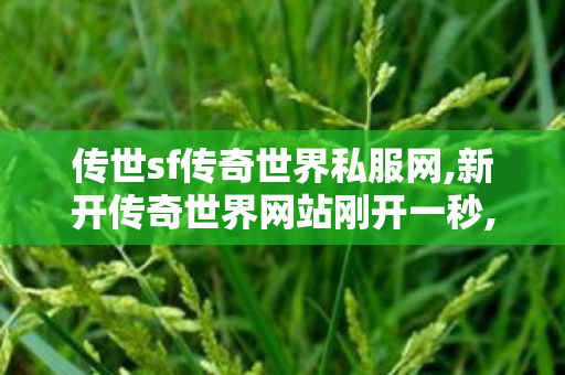 传世sf传奇世界私服网,新开传奇世界网站刚开一秒,找传世私服网站,新开传奇世界网站刚开一秒