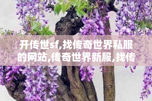 开传世sf,找传奇世界私服的网站,传奇世界新服,找传奇世界私服的网站