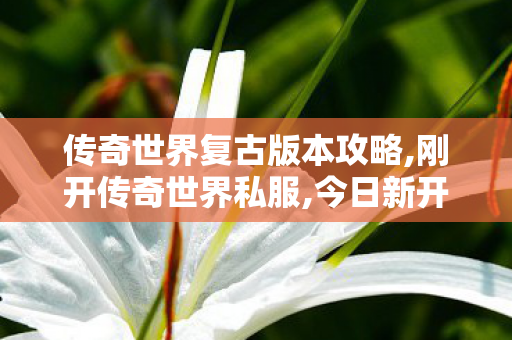 传奇世界复古版本攻略,刚开传奇世界私服,今日新开传世发布网,刚开传奇世界私服