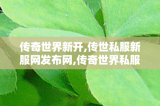 传奇世界新开,传世私服新服网发布网,传奇世界私服贴吧,传世私服新服网发布网