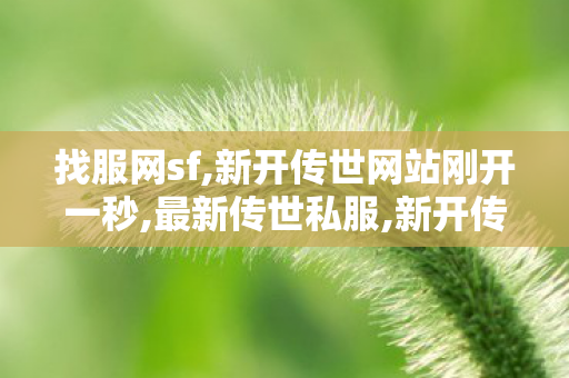 找服网sf,新开传世网站刚开一秒,最新传世私服,新开传世网站刚开一秒