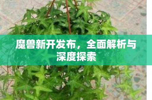 魔兽新开发布，全面解析与深度探索