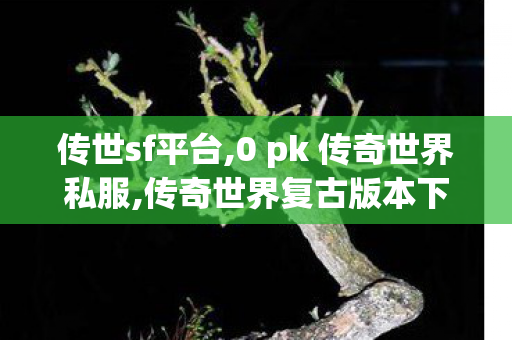传世sf平台,0 pk 传奇世界私服,传奇世界复古版本下载,0 pk 传奇世界私服