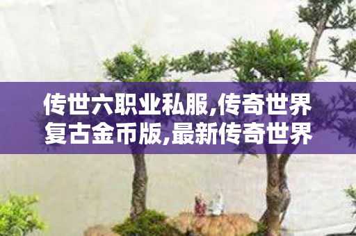 传世六职业私服,传奇世界复古金币版,最新传奇世界,传奇世界复古金币版