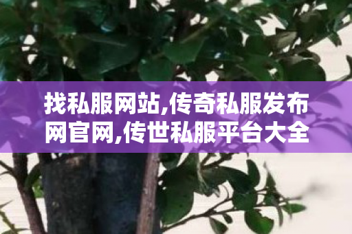找私服网站,传奇私服发布网官网,传世私服平台大全,传奇私服发布网官网