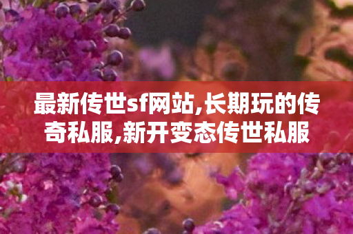 最新传世sf网站,长期玩的传奇私服,新开变态传世私服网,长期玩的传奇私服