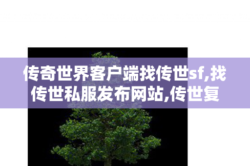 传奇世界客户端	找传世sf,找传世私服发布网站,传世复古纯金币版,找传世私服发布网站