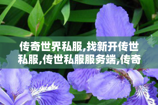 传奇世界私服,找新开传世私服,传世私服服务端,传奇世界sf网站,传世私服服务端