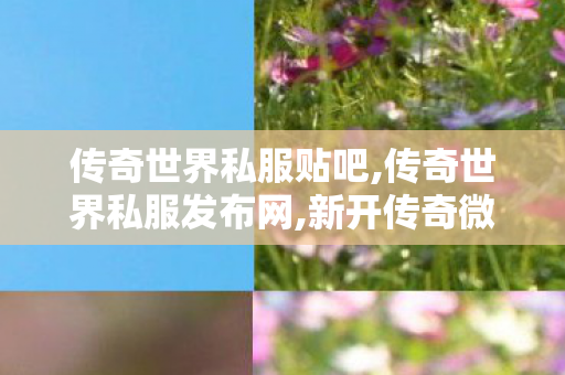 传奇世界私服贴吧,传奇世界私服发布网,新开传奇微变网站,传奇世界私服发布网
