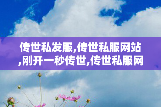 传世私发服,传世私服网站,刚开一秒传世,传世私服网站