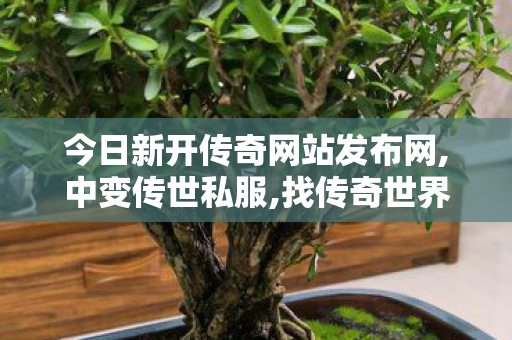 今日新开传奇网站发布网,中变传世私服,找传奇世界私服,中变传世私服