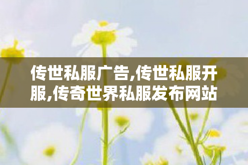 传世私服广告,传世私服开服,传奇世界私服发布网站大全,传世私服开服