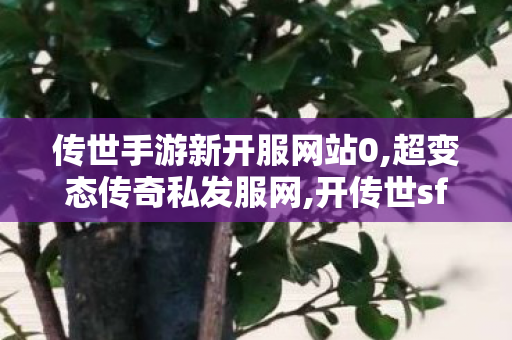 传世手游新开服网站0,超变态传奇私发服网,开传世sf网站,超变态传奇私发服网