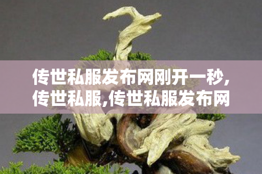 传世私服发布网刚开一秒,传世私服,传世私服发布网刚开一秒,传世私服