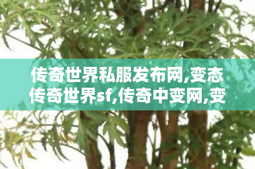传奇世界私服发布网,变态传奇世界sf,传奇中变网,变态传奇世界sf