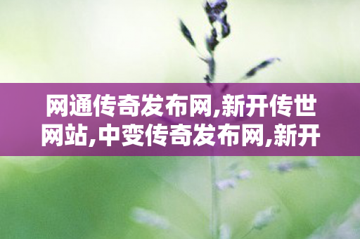 网通传奇发布网,新开传世网站,中变传奇发布网,新开传世网站