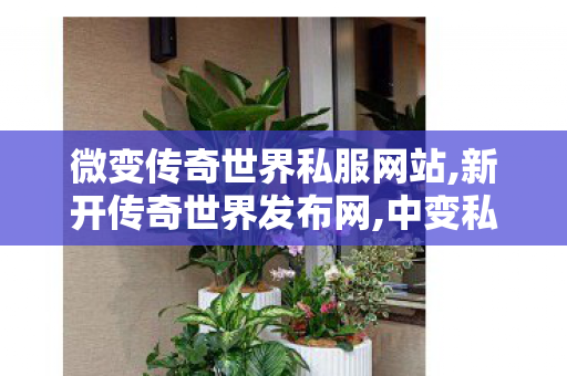 微变传奇世界私服网站,新开传奇世界发布网,中变私服发布网,新开传奇世界发布网