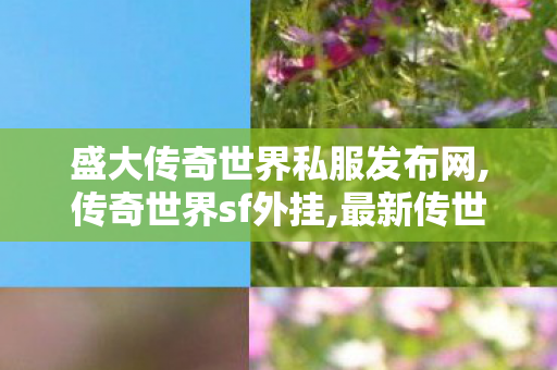 盛大传奇世界私服发布网,传奇世界sf外挂,最新传世sf网站,传奇世界sf外挂