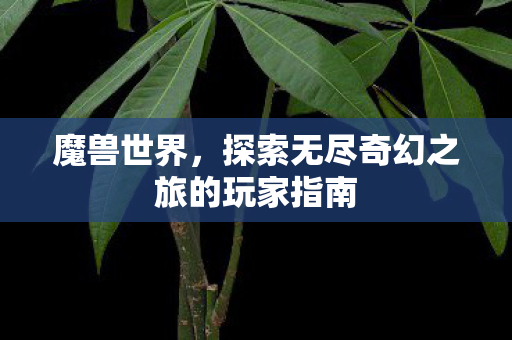 魔兽世界，探索无尽奇幻之旅的玩家指南