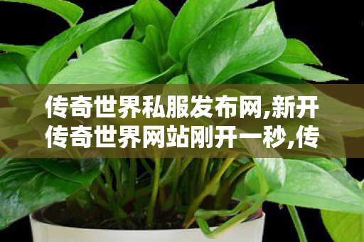 传奇世界私服发布网,新开传奇世界网站刚开一秒,传奇世界私服新开,新开传奇世界网站刚开一秒