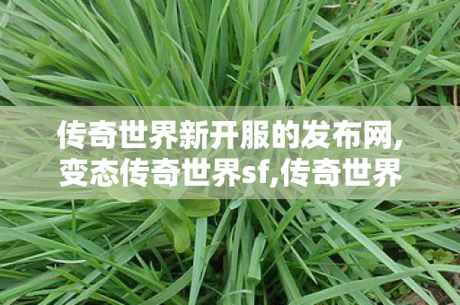 传奇世界新开服的发布网,变态传奇世界sf,传奇世界私服网址,变态传奇世界sf