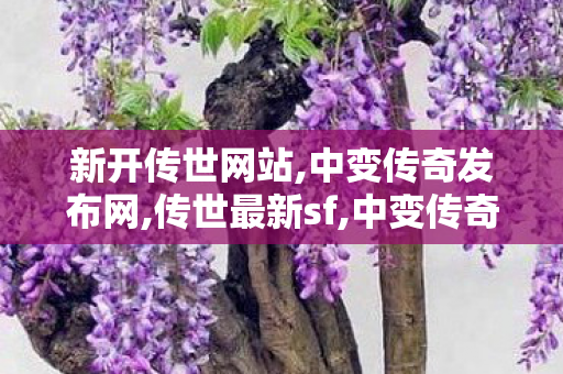新开传世网站,中变传奇发布网,传世最新sf,中变传奇发布网