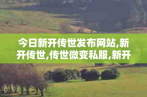 今日新开传世发布网站,新开传世,传世微变私服,新开传世