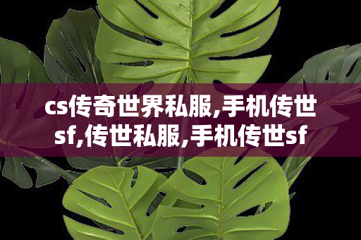 cs传奇世界私服,手机传世sf,传世私服,手机传世sf
