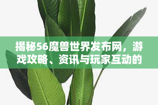 揭秘56魔兽世界发布网，游戏攻略、资讯与玩家互动的全方位平台