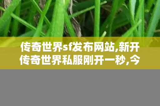 传奇世界sf发布网站,新开传奇世界私服刚开一秒,今天新开私服,新开传奇世界私服刚开一秒