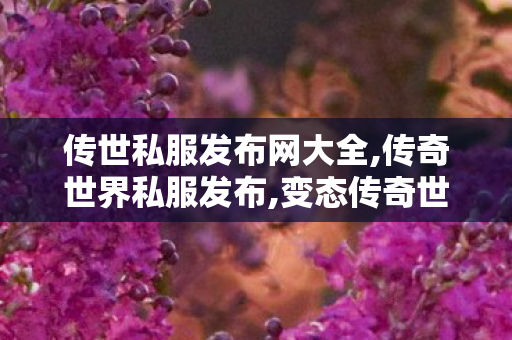 传世私服发布网大全,传奇世界私服发布,变态传奇世界sf,传奇世界私服发布