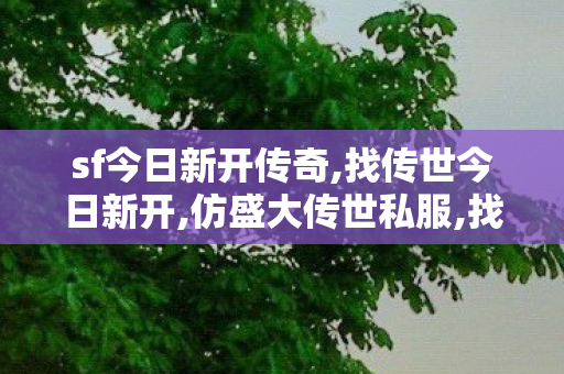 sf今日新开传奇,找传世今日新开,仿盛大传世私服,找传世今日新开