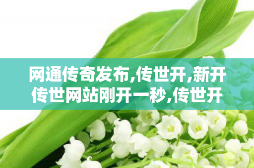 网通传奇发布,传世开,新开传世网站刚开一秒,传世开
