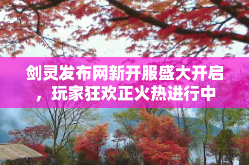 剑灵发布网新开服盛大开启，玩家狂欢正火热进行中