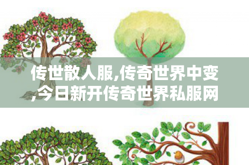 传世散人服,传奇世界中变,今日新开传奇世界私服网站,传奇世界中变