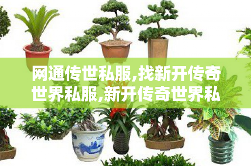 网通传世私服,找新开传奇世界私服,新开传奇世界私服网站发布网,找新开传奇世界私服