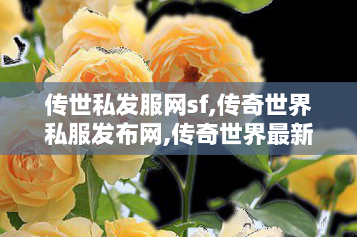 传世私发服网sf,传奇世界私服发布网,传奇世界最新版本,传奇世界私服发布网