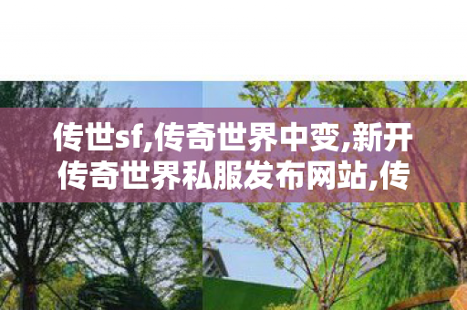 传世sf,传奇世界中变,新开传奇世界私服发布网站,传奇世界中变