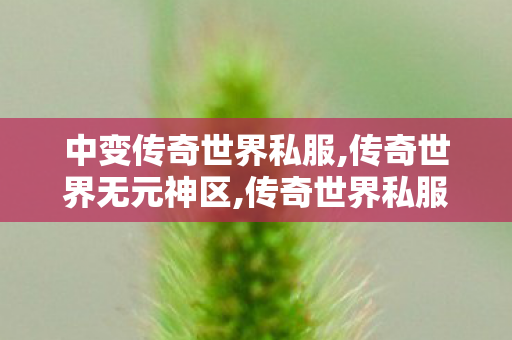 中变传奇世界私服,传奇世界无元神区,传奇世界私服变态版,传奇世界无元神区