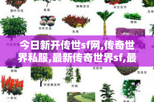 今日新开传世sf网,传奇世界私服,最新传奇世界sf,最新传奇世界,传奇世界私服,最新传奇世界sf