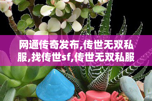 网通传奇发布,传世无双私服,找传世sf,传世无双私服